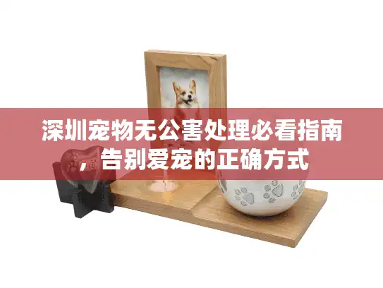 深圳宠物无公害处理必看指南，告别爱宠的正确方式