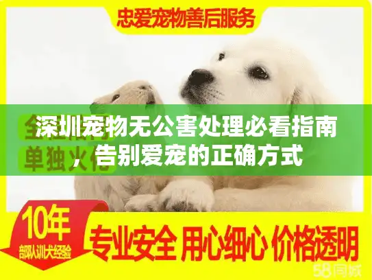 深圳宠物无公害处理必看指南，告别爱宠的正确方式