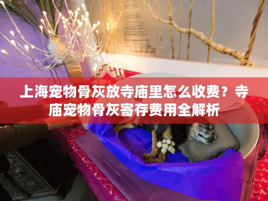 上海宠物骨灰放寺庙里怎么收费？寺庙宠物骨灰寄存费用全解析