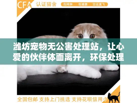 潍坊宠物无公害处理站，让心爱的伙伴体面离开，环保处理真的可靠吗？