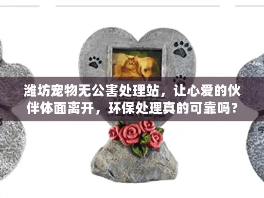 潍坊宠物无公害处理站，让心爱的伙伴体面离开，环保处理真的可靠吗？