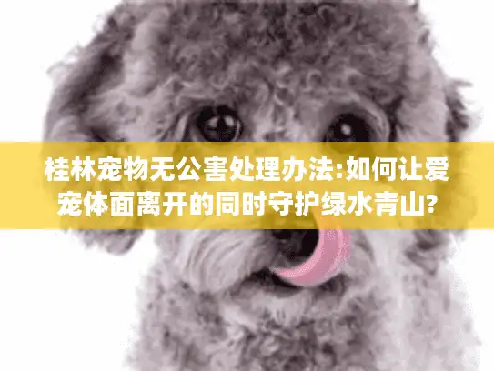 桂林宠物无公害处理办法:如何让爱宠体面离开的同时守护绿水青山?