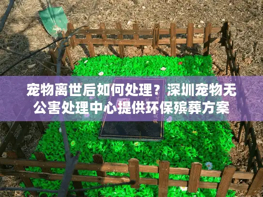 宠物离世后如何处理？深圳宠物无公害处理中心提供环保殡葬方案