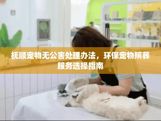 抚顺宠物无公害处理办法，环保宠物殡葬服务选择指南