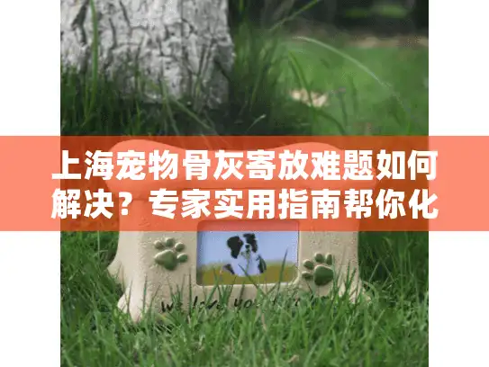 上海宠物骨灰寄放难题如何解决？专家实用指南帮你化解困惑