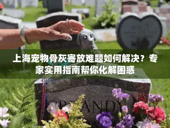 上海宠物骨灰寄放难题如何解决？专家实用指南帮你化解困惑