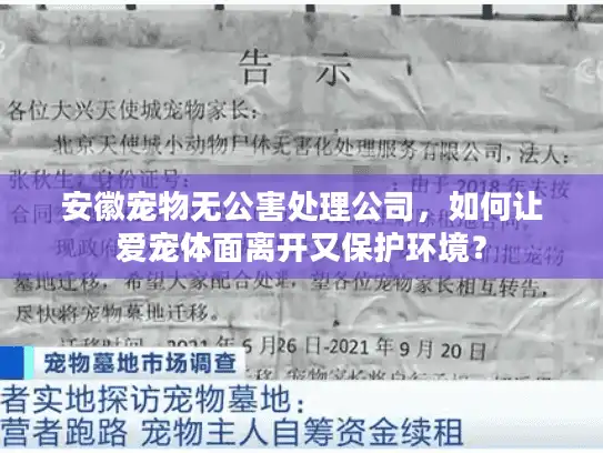 安徽宠物无公害处理公司，如何让爱宠体面离开又保护环境？