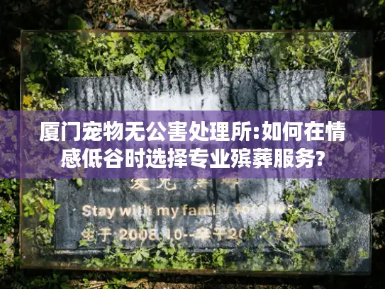 厦门宠物无公害处理所:如何在情感低谷时选择专业殡葬服务?