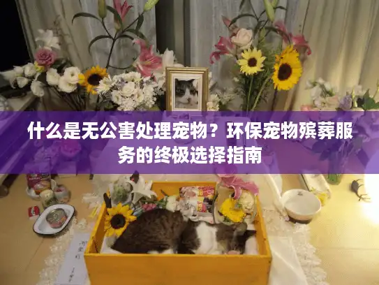 什么是无公害处理宠物？环保宠物殡葬服务的终极选择指南