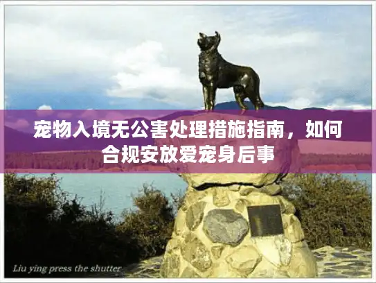 宠物入境无公害处理措施指南，如何合规安放爱宠身后事