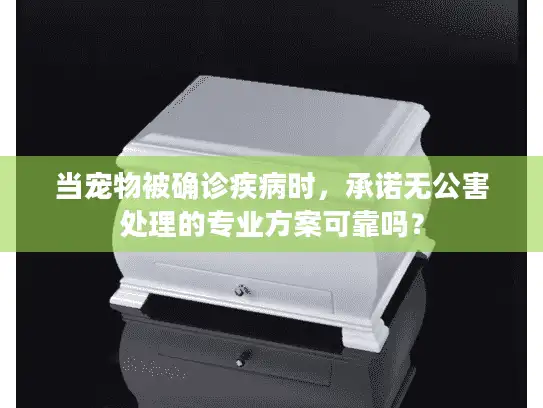 当宠物被确诊疾病时，承诺无公害处理的专业方案可靠吗？