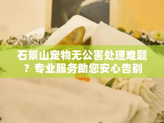 石景山宠物无公害处理难题？专业服务助您安心告别