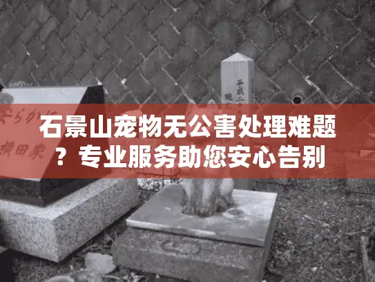石景山宠物无公害处理难题？专业服务助您安心告别