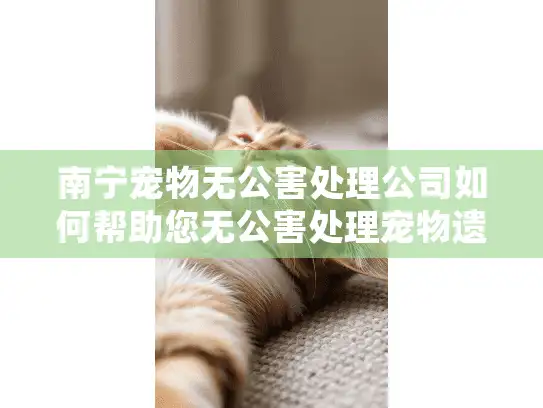 南宁宠物无公害处理公司如何帮助您无公害处理宠物遗体？