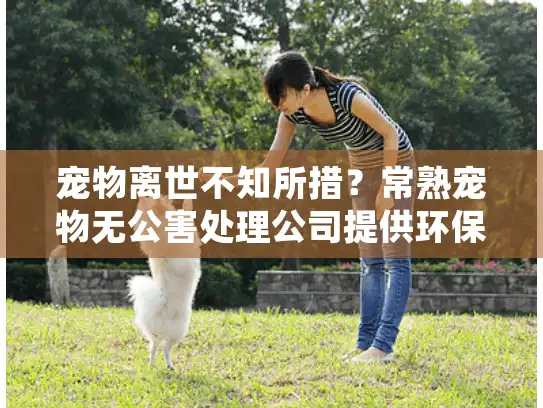 宠物离世不知所措？常熟宠物无公害处理公司提供环保高效殡葬服务