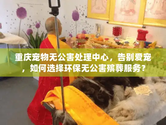 重庆宠物无公害处理中心，告别爱宠，如何选择环保无公害殡葬服务？