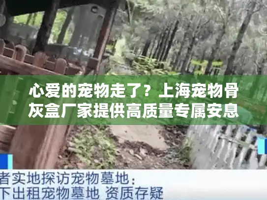 心爱的宠物走了？上海宠物骨灰盒厂家提供高质量专属安息方案
