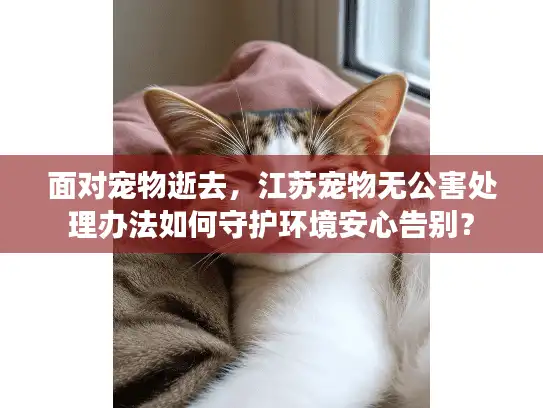 面对宠物逝去，江苏宠物无公害处理办法如何守护环境安心告别？