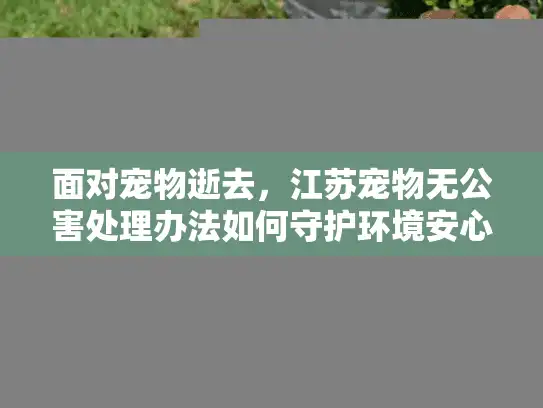 面对宠物逝去，江苏宠物无公害处理办法如何守护环境安心告别？