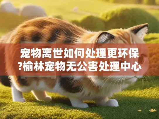 宠物离世如何处理更环保?榆林宠物无公害处理中心专业解决方案