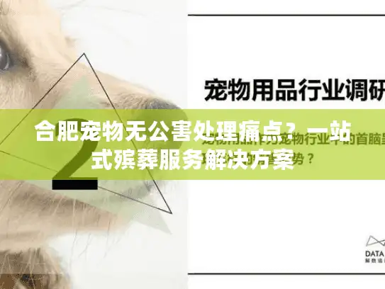 合肥宠物无公害处理痛点？一站式殡葬服务解决方案