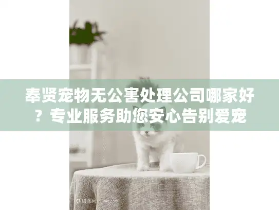 奉贤宠物无公害处理公司哪家好？专业服务助您安心告别爱宠