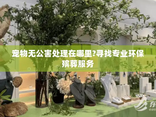 宠物无公害处理在哪里?寻找专业环保殡葬服务