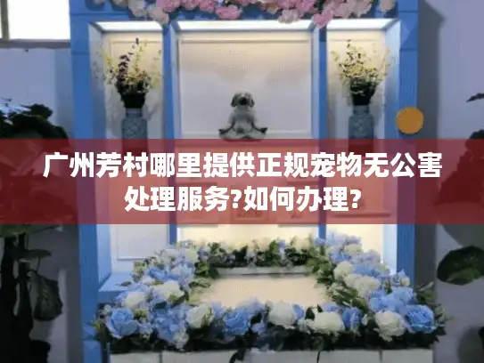 广州芳村哪里提供正规宠物无公害处理服务?如何办理?