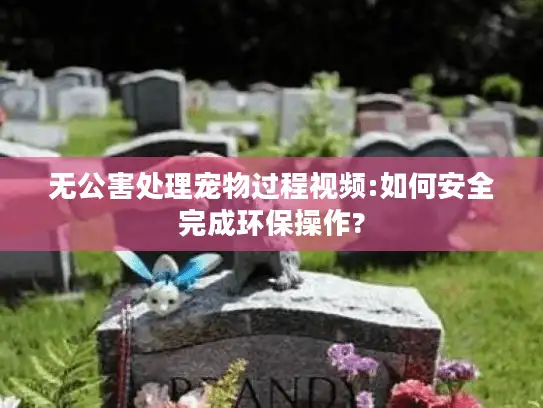 无公害处理宠物过程视频:如何安全完成环保操作?