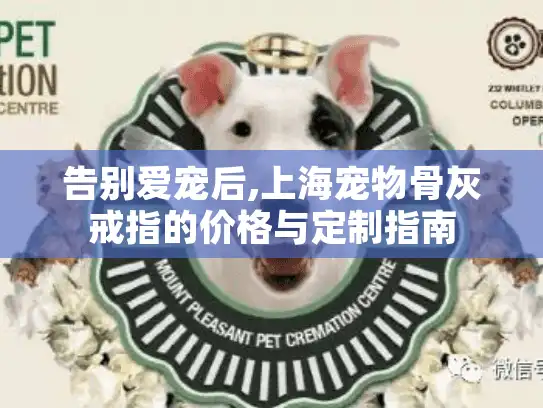 告别爱宠后,上海宠物骨灰戒指的价格与定制指南
