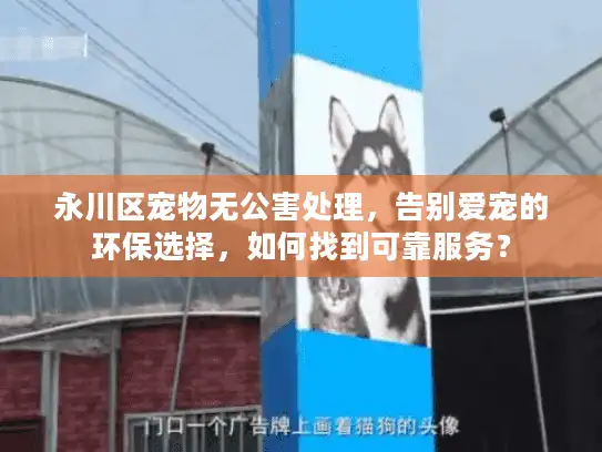永川区宠物无公害处理，告别爱宠的环保选择，如何找到可靠服务？
