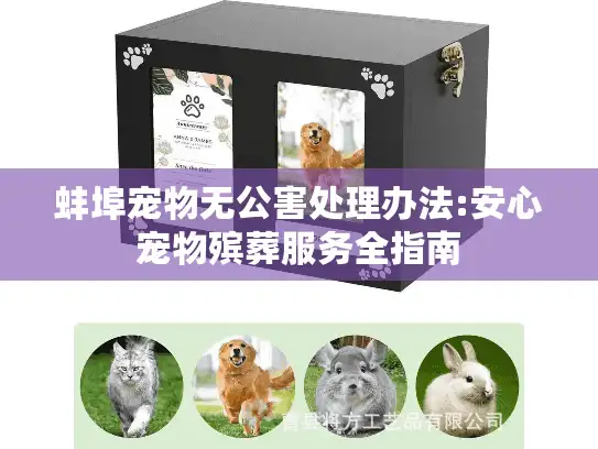 蚌埠宠物无公害处理办法:安心宠物殡葬服务全指南