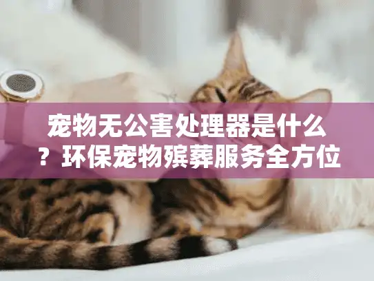 宠物无公害处理器是什么？环保宠物殡葬服务全方位解答