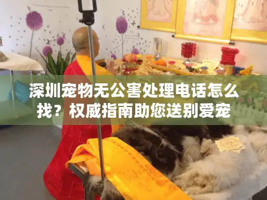 深圳宠物无公害处理电话怎么找？权威指南助您送别爱宠