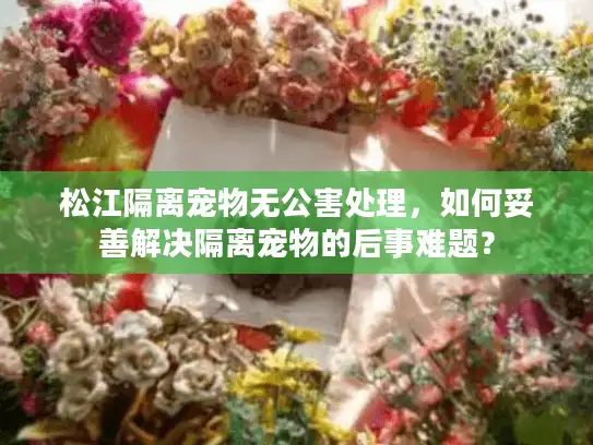 松江隔离宠物无公害处理，如何妥善解决隔离宠物的后事难题？