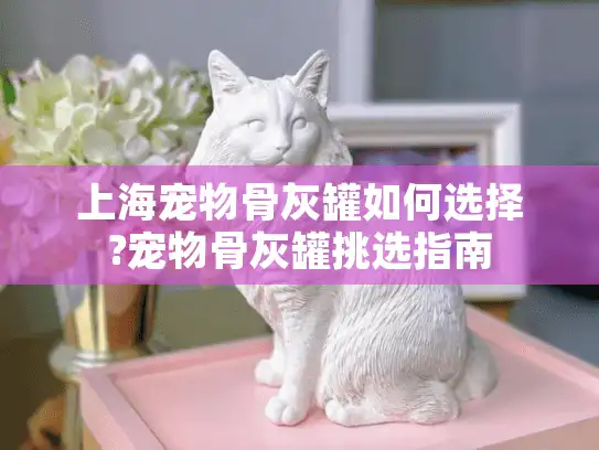 上海宠物骨灰罐如何选择?宠物骨灰罐挑选指南