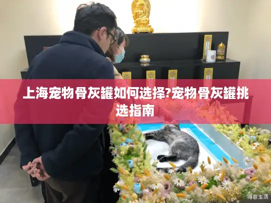 上海宠物骨灰罐如何选择?宠物骨灰罐挑选指南