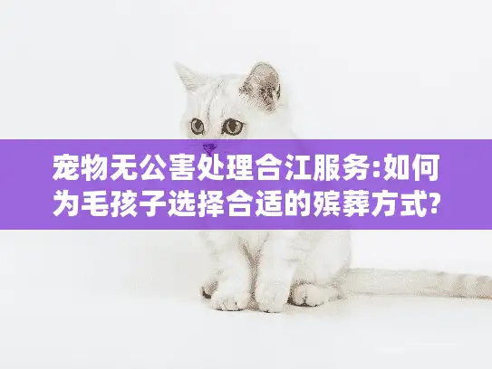 宠物无公害处理合江服务:如何为毛孩子选择合适的殡葬方式?