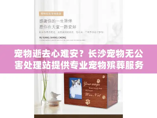 宠物逝去心难安？长沙宠物无公害处理站提供专业宠物殡葬服务