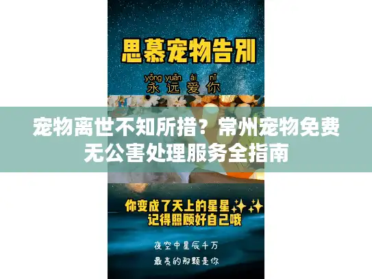 宠物离世不知所措？常州宠物免费无公害处理服务全指南