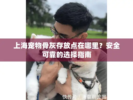 上海宠物骨灰存放点在哪里？安全可靠的选择指南