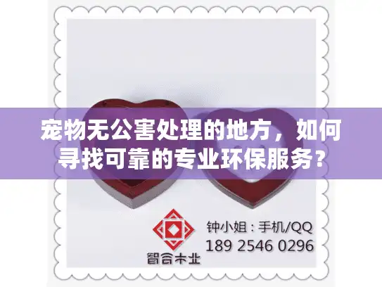 宠物无公害处理的地方，如何寻找可靠的专业环保服务？