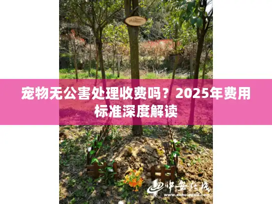 宠物无公害处理收费吗？2025年费用标准深度解读