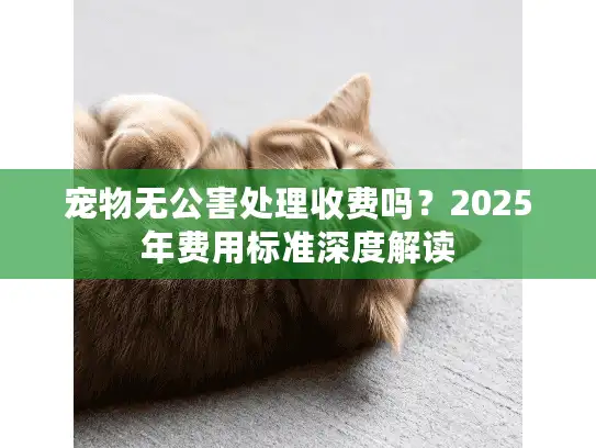 宠物无公害处理收费吗？2025年费用标准深度解读