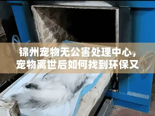 锦州宠物无公害处理中心，宠物离世后如何找到环保又安心的善后方案？