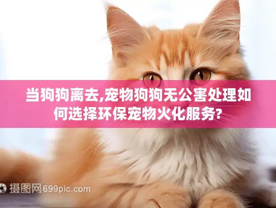 当狗狗离去,宠物狗狗无公害处理如何选择环保宠物火化服务?