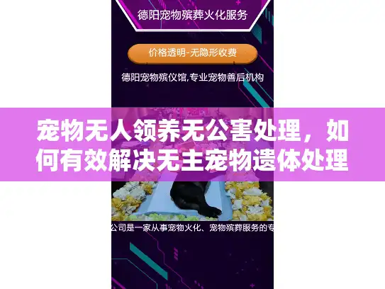 宠物无人领养无公害处理，如何有效解决无主宠物遗体处理难题？