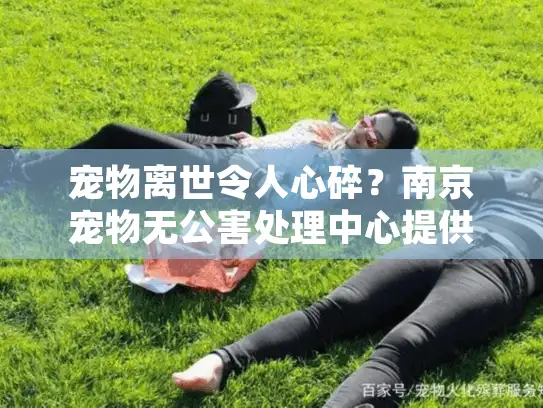 宠物离世令人心碎？南京宠物无公害处理中心提供环保送别服务