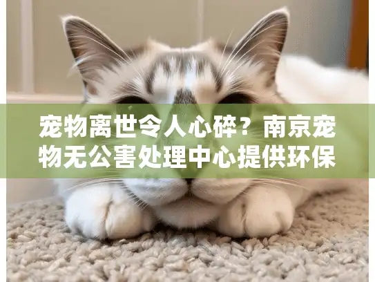 宠物离世令人心碎？南京宠物无公害处理中心提供环保送别服务