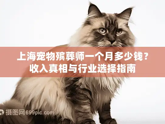 上海宠物殡葬师一个月多少钱？收入真相与行业选择指南